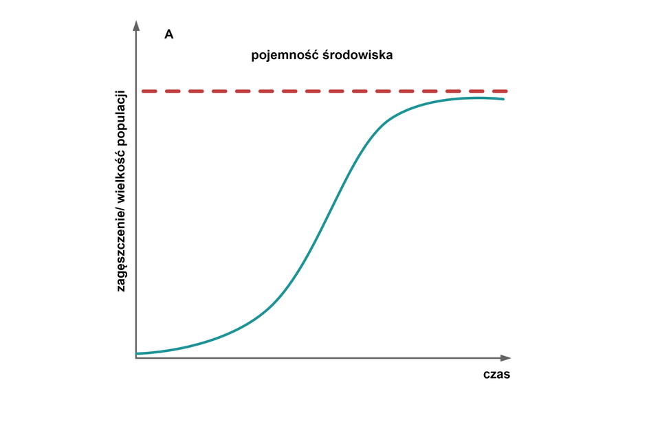 Wykres przedstawia krzywą, która przypomina swoim kształtem literę S. Oś Y to zagęszczenie/wielkość populacji, a oś X to czas. Tuż nad krzywą znajduje się pozioma, czerwona linia przerywana, nad którą jest podpis: pojemność środowiska.