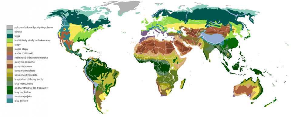 Mapa świata przedstawia pasowy układ formacji roślinnych, zależny od klimatu w danej szerokości geograficznej. Wilgotny las równikowy – obejmuje obszar bezpośrednich okolic równika. Zwrotnikowy i podzwrotnikowy las wilgotny - Występuje często na granicy lasu równikowego, a także samodzielnie, na duża skalę w Azji wschodniej (południowe Chiny, południowa Japonia) oraz w południowo‑wschodnim USA, zwłaszcza na Florydzie. Las monsunowy i suchy las podrównikowy – występuje w południowej i południowo‑wschodniej Azji oraz środkowo‑południowej i środkowo‑wschodniej Afryce. Sawanna – obejmuje znaczne obszary środkowo‑północnej i środkowo‑południowej Afryki, a także pewne fragmenty północnej Australii i wschodniej Ameryki Południowej. Pustynie i półpustynie – obejmują obszary położone w strefach klimatów zwrotnikowych suchych i podzwrotnikowych suchych (pustynie gorące) oraz niektóre obszary strefy umiarkowanej kontynentalnej w głębi lądów (pustynie chłodne). Roślinność śródziemnomorska – obejmuje część obszarów klimatu podzwrotnikowego wilgotnego. Step – obejmuje pas terenu ciągnący się od wschodniej Europy przez centralną Azję, znaczną część Azji mniejszej. Występuje też na znacznej części Wielkich Równin w Ameryce Północnej oraz w południowej Argentynie. Las liściasty i mieszany strefy umiarkowanej (zrzucający liście na zimę) – formacja występująca we wschodniej Ameryce Północnej, w znacznej większości Europy i we wschodniej Azji. W mniejszym stopniu także we wschodniej Australii, w Nowej Zelandii i południowo‑zachodniej Ameryce Południowej. Tajga – występuje na dużą skalę w Kanadzie (większość terytorium), Europie Północnej i północnej Rosji w strefie klimatu umiarkowanego chłodnego i wyłącznie na półkuli północnej. Tundra – obejmuje obszar dalekiej północny Kanady i Eurazji, ponadto występuje na Alasce, Grenlandii i Islandii, niemal wyłącznie na półkuli północnej (za wyjątkiem skrajnie południowych brzegów Ameryki Południowej). Pustynia lodowa – występuje na skrajnej północy min. we wnętrzu Grenlandii i na niektórych wyspach Archipelagu Arktycznego i innych wyspach Arktyki oraz na Antarktydzie.