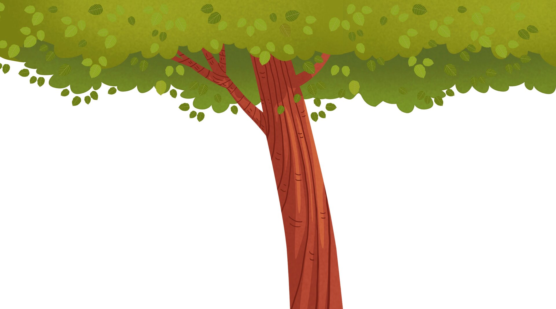 Ilustracja przedstawia drzewo.
