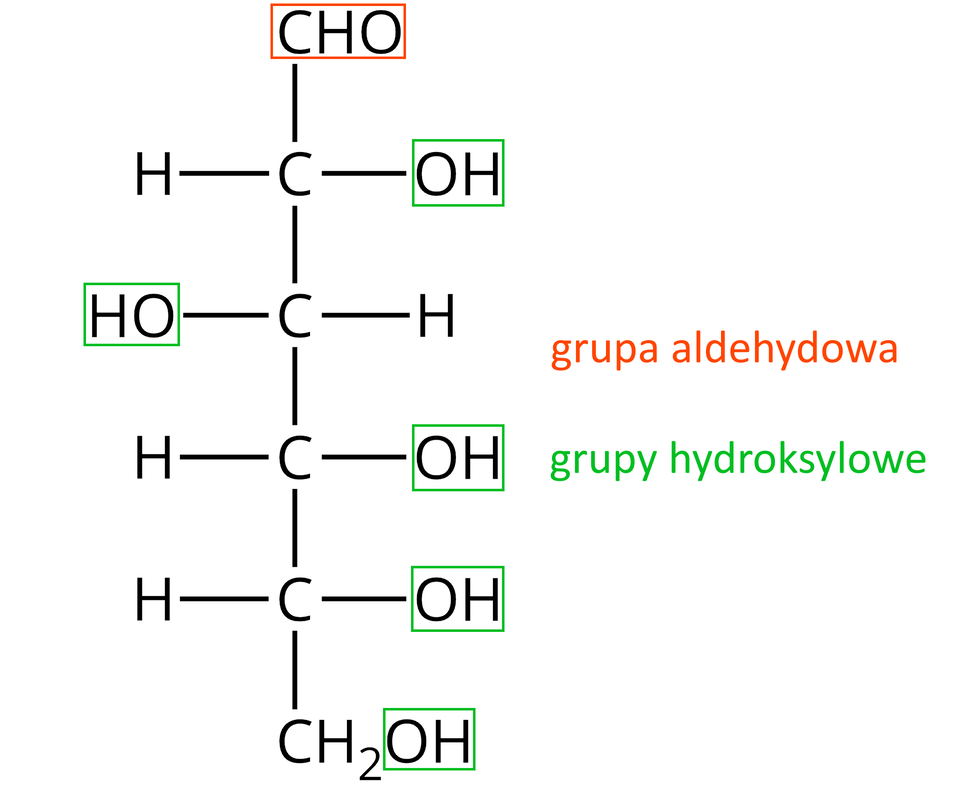 Grafika przedstawia łańcuchowy model cząsteczki glukozy. Główny łańcuch składający się z czterech atomów węgla ułożony jest pionowo, a wszystkie atomy połączone są wiązaniami pojedynczymi. Od pierwszego od góry atomu w łańcuchu odchodzą trzy wiązania: do góry prowadzące do grupy C H O, w prawo prowadzące do grupy O H i w lewo prowadzące do atomu H. Od drugiego atomu węgla w łańcuchu odchodzą dwa wiązania: w prawo do atomu H i w lewo do grupy O H. Od trzeciego atomu węgla odchodzą dwa wiązania: w prawo do grupy O H i w lewo do atomu H. Od czwartego atomu węgla odchodzą trzy wiązania: w prawo do grupy O H, w lewo do atomu H oraz w dół do grupy C H indeks dolny, dwa, koniec indeksu dolnego, O H. Grupa C H O zaznaczona została pomarańczowym prostokątem, a wszystkie grupy O H zostały zaznaczone zielonymi prostokątami. Po prawej stronie struktury znajduje się legenda: kolorem pomarańczowym zapisano „grupa aldehydowa”, a kolorem zielonym „grupy hydroksylowe”.