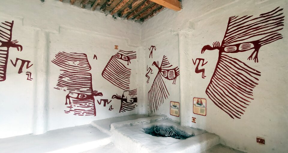 Zdjęcie przedstawia wnętrze domu z Çatalhöyük. Na białych ścianach domu znajdują się malowidła przedstawiające duże ptaki i ludzi, którzy są przez nie atakowani.  Kształt ptaków jest schematyczny, mają one rozłożyste, ogromnych rozmiarów  skrzydła. Poniżej znajdują się sylwetki osób bez głów, zazwyczaj w pozycjach siedzących.  Kolorystyka jest zdominowana przez czerwień. W podłodze domu znajduje się wgłębienie, w którym ułożony jest ludzki szkielet. 