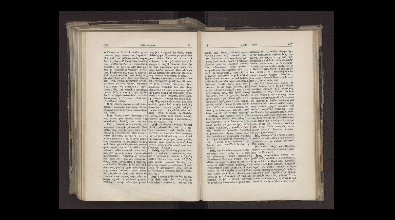<span lang="de">Aleksander Brückner</span>, Słownik etymologiczny języka polskiego Skan rozkładówki słownika. Strony 666 i 667. Znajdują się na nich hasła na literę ż, m.in. Żona. Treść hasła: Żona; żonie, żonin, dawniej: żenie, żenin, por. żeński, żenić się; nowożenia, żenich, raz żeniuch r. 1541; ożenek (nie ożonek), żeniaczka. Znaczyło pierwotnie: ‘kobieta’ (por. żeński, a z tego żeńszczyna, żeńszczyzna, dziś nieużywane, zbiorowe, ale już w 15. i 16. wieku przeszło i na osoby); wcześnie przybrało to znaczenie ‘żony’, w którem go dziś wyłącznie znamy (por. mąż); już w 14. wieku wyjątkowo tylko oznaczało ‘niewiastę, kobietę’ (np. »zła żona« tłumaczyło ‘nierządnicę’). Nazwana od ‘rodzenia’, pień gen- (por. łac. genus, ‘rodzaj’, niem. kuni, skąd poszła nazwa ‘króla’, *kuning, p. ksiądz); ind. dżanami, ‘płodzę’; grec. gyne ‘żona’; ang. queen, ‘królowa’; prus. gena. W gospodarce językowej słowo to znaczenia nadzwyczajnego, gdyż od niego wyszło odróżnianie gramatycznego rodzaju żeńskiego, przedtem, jak w innych językach, wcale nieistniejące. Ponieważ po pruskiem gena nie ma śladu ani w lit. ani w łotew., może być pożyczką z polskiego. U innych Słowian żena łączy oba znaczenia, por. serb. żenica, żenka, ‘samica’; Ruś odróżnia żena, i żenszczina, ‘kobieta’, ale »żenskij wopros«: ‘kwestja kobieca’.