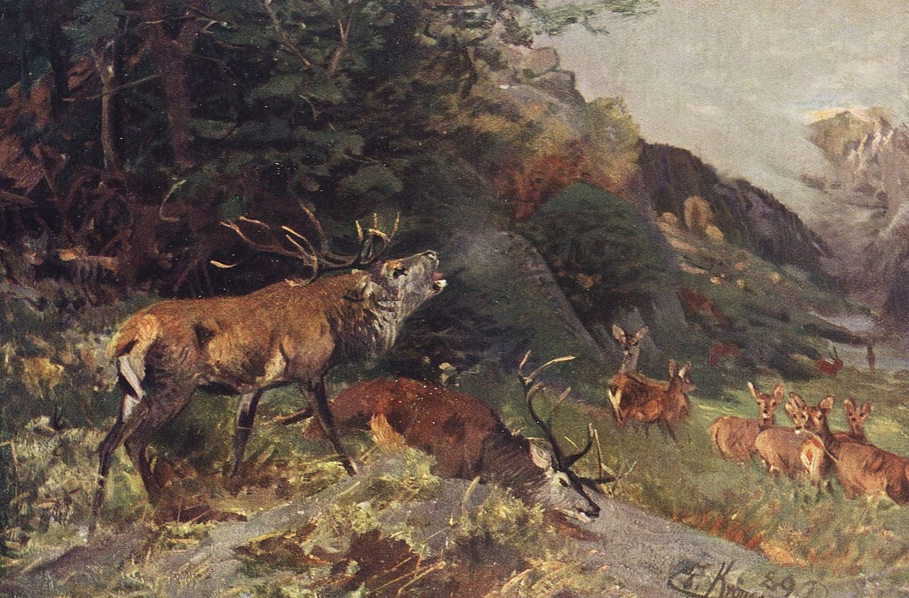 Obraz przedstawia pejzaż. Na pierwszym planie znajdują się dwa jelenie. Jeden leży, drugi stoi i ryczy. W tle znajduje się stadko łań, skraj lasu i skalisty pagórek.