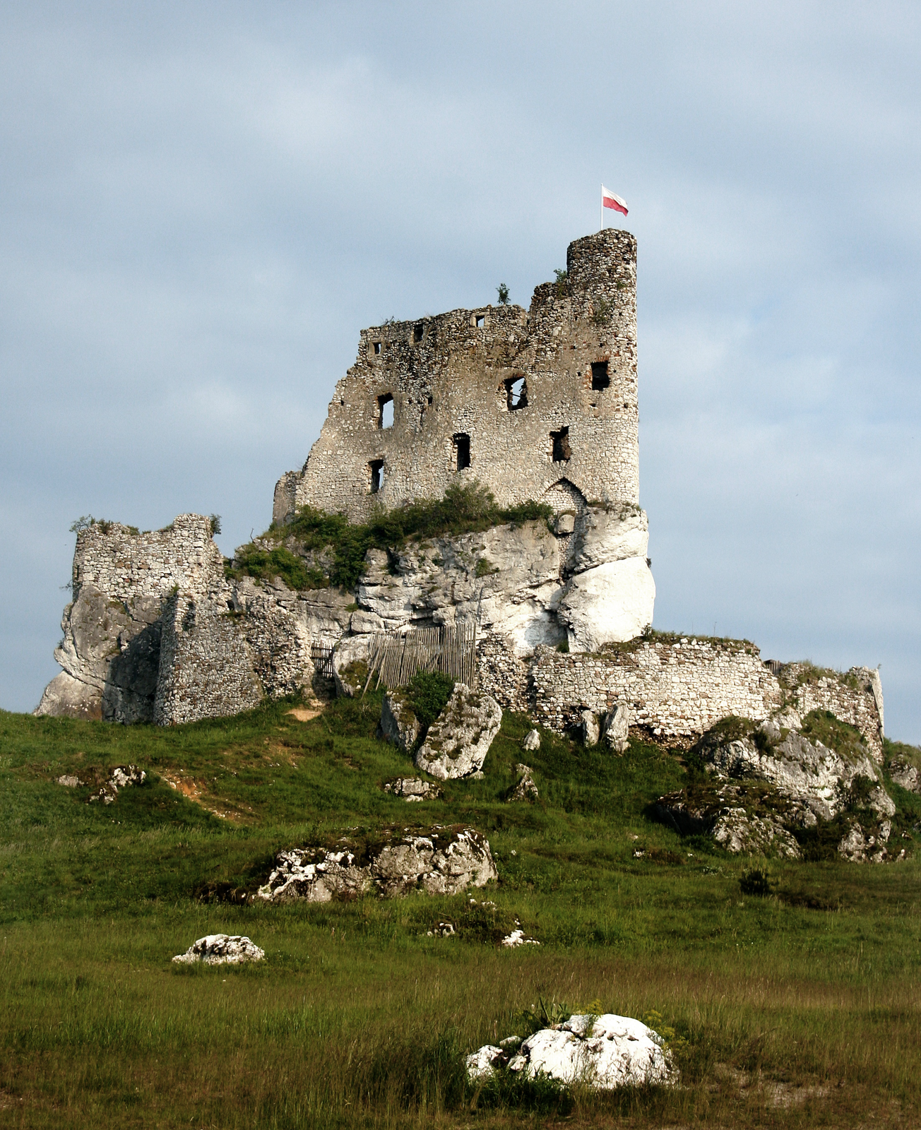 Zdjęcie przedstawia ruiny zamku. Zachowały się resztki muru i wieży obronnej. Na szczycie wieży powiewa biało czerwona flaga. Zamek położony jest na stromej skale, na wzniesieniu. W tle niebo.