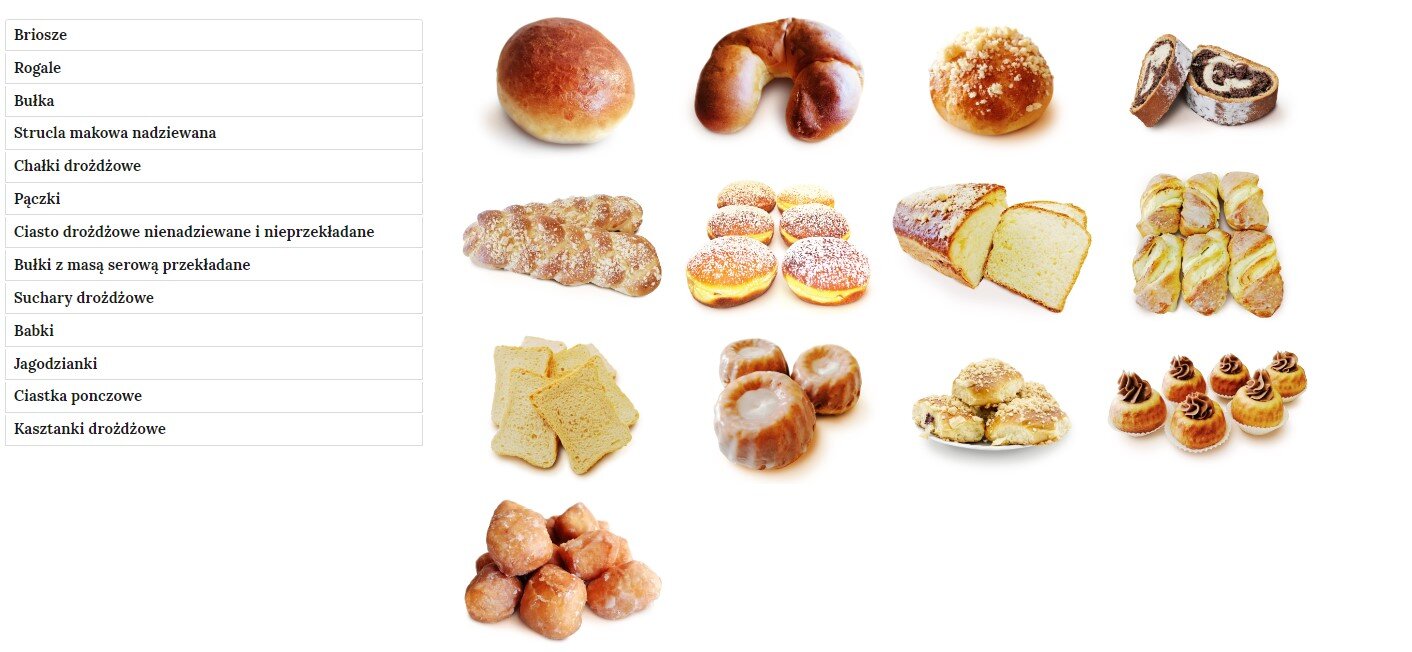 Grafika przedstawia widok galerii zdjęć z zdjęciami umieszczonymi po prawej stronie i treścią przypisaną do galerii po lewej stronie.