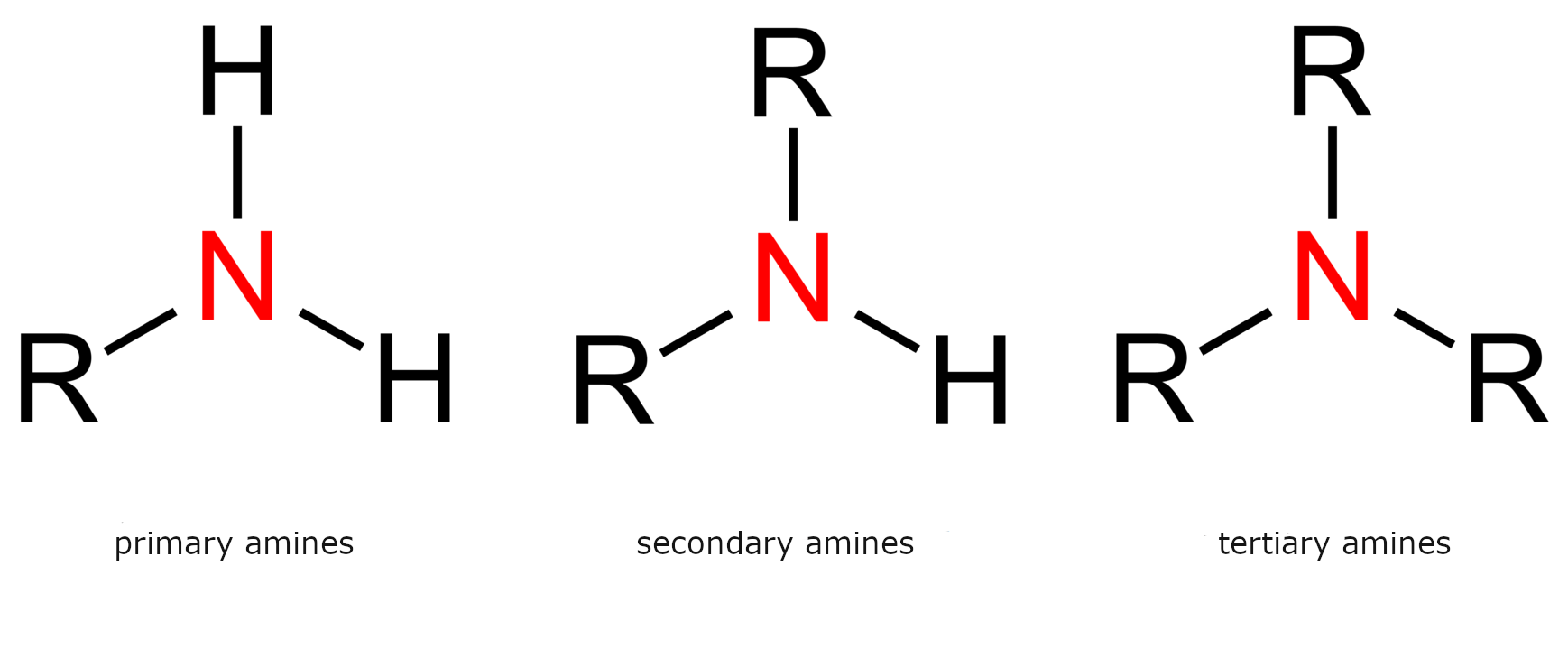 Grafika przedstawiająca rzędowość amin. Zostały zamieszczone wzory strukturalne amin, pierwszorzędowych, drugorzędowych i trzeciorzędowych. W centrum grupy aminowej znajduje się atom azotu.