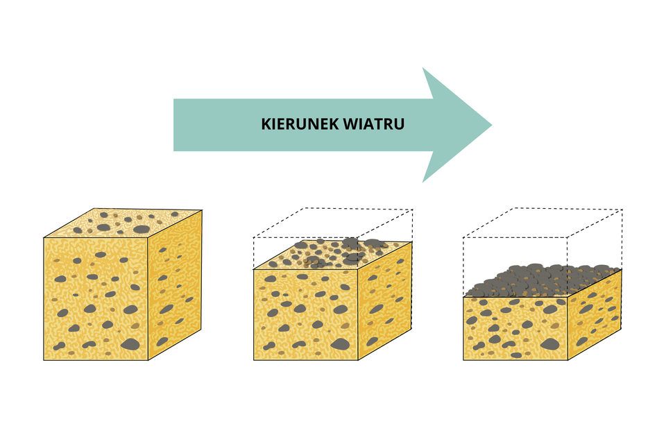 Grafika przedstawia trzy sześciany ustawione obok siebie. Nad nimi znajduje się strzałka skierowana w prawo z napisem: kierunek wiatru. Pierwszy sześcian  jest w całości wypełniony mieszaniną piasku i okruchów skalnych. W drugim sześcianie ubyło trochę materiału. W trzecim jest go jeszcze mniej. Na powierzchni pozostały okruchy skalne. Pod nimi jest warstwa piasku wymieszana z kamieniami, okruchami skalnymi.     