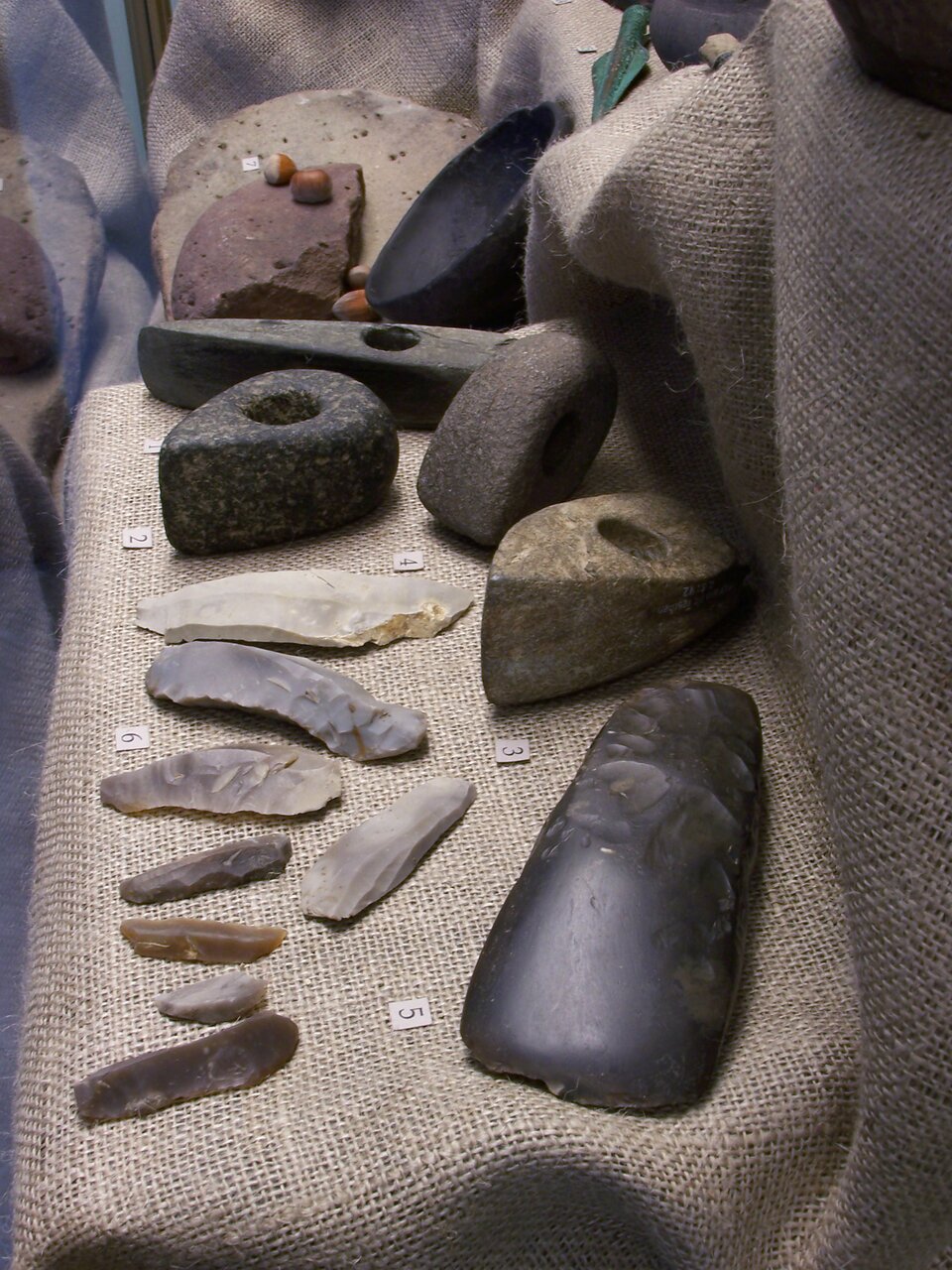 Na ilustracji znajduje się ekspozycja muzealna przedstawiająca zabytki archeologiczne związane z kulturą lendzielską, należącą do kręgu kultur neolitycznych. Obiekty ułożone są na jutowym materiale i oznaczone numerami ekspozycyjnymi dokumentują rozwój techniki w epoce kamienia gładzonego. W dolnej części zdjęcia znajdują się drobniejsze narzędzia krzemienne. Obok nich leży duży, gładko wypolerowany topór kamienny. W środkowej części eksponowane są topory i młoty z otworem trzonowym. W górnej partii zdjęcia dostrzec można fragmenty naczyń glinianych, częściowo wypalonych, o prostej ornamentyce, a także małe paciorki lub kulki gliniane. 