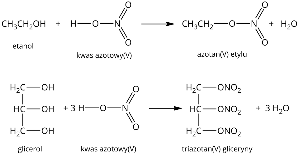 Ilustracja przedstawia reakcję estryfikacji kwasem azotowym(pięć). Pierwsze równanie to reakcja estryfikacji etanolu C H indeks dolny, 3, koniec indeksu dolnego, C H indeks dolny, 2, koniec indeksu dolnego, O H z H N O indeks dolny, 3, koniec indeksu dolnego. Powstaje aztotan(pięć) etylu C H indeks dolny, 3, koniec indeksu dolnego, C H indeks dolny, 2, koniec indeksu dolnego, O N O indeks dolny, 2, koniec indeksu dolnego oraz cząsteczka wody. Budowa kwasu azotowego(pięć). Do atomu azotu przyłączone są za pomocą wiązania pojedynczego grupa O H, za pomocą dwóch wiązań podwójnych dwa atomy tlenu. Budowa azotanu(pięć) etylu. Do atomu azotu przyłączone są wiązaniem pojedynczym grupa O C H indeks dolny, 2, koniec indeksu dolnego, C H indeks dolny, 3, koniec indeksu dolnego, dwoma wiązaniami podwójnymi dwa atomy tlenu. Druga reakcja to reakcja glicerolu i trzech cząsteczek kwasu azotowego(pięć). W jej wyniku powstaje triazotan(pięć) gliceryny i trzy cząsteczki wody. Budowa glicerolu. Łańcuch węglowy czasteczki glicerolu tworzą kolejno połączone ze sobą grupy C H indeks dolny, dwa, koniec indeksu dolnego, C H oraz C H indeks dolny, dwa, koniec indeksu dolnego, z których każda podstawiona jest jedną grupą hydroksylową O H. Budowa triazotanu(pięć) glicerolu.  Łańcuch węglowy czasteczki tworzą kolejno połączone ze sobą grupy C H indeks dolny, dwa, koniec indeksu dolnego, C H oraz C H indeks dolny, dwa, koniec indeksu dolnego, z których każda podstawiona jest jedną grupą O N O indeks dolny, 2, koniec indeksu dolnego.