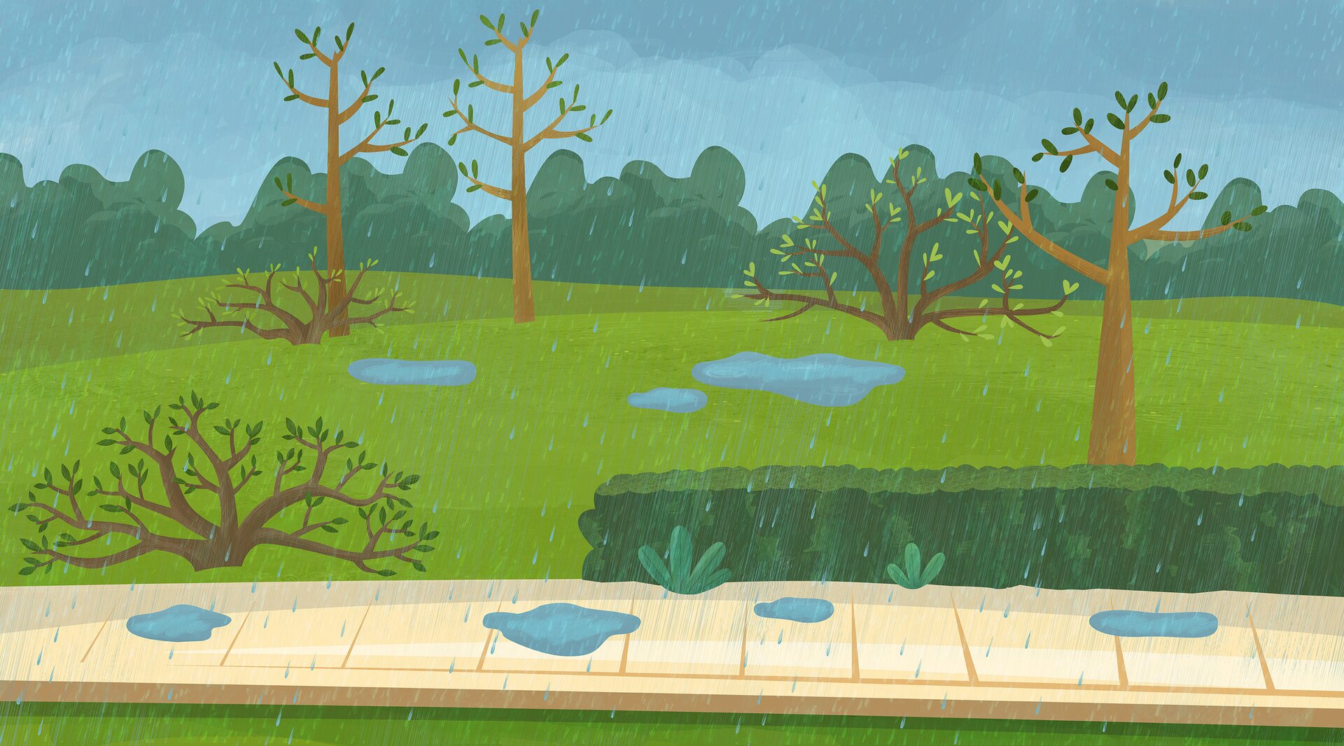Na obrazku widoczny jest wiosenny park podczas deszczu. Na drzewach widoczne są małe listki, a na ziemi pojawiło się po deszczu wiele kałuż .
