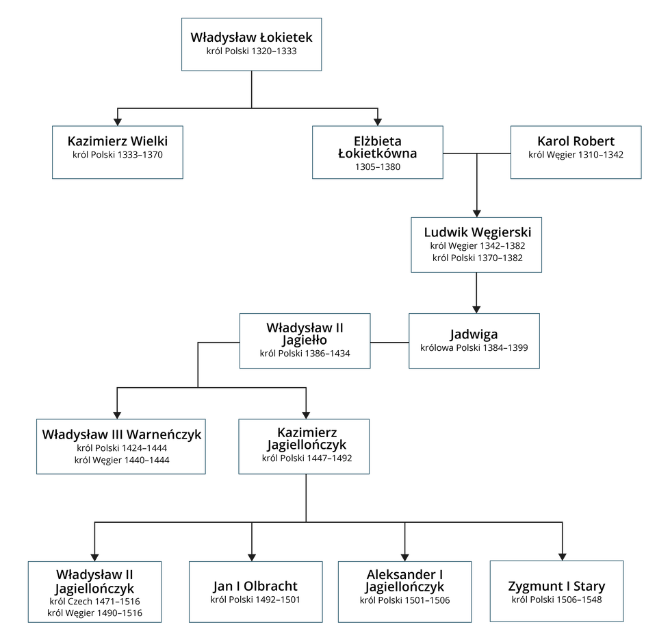 Rysunek przedstawia drzewo genealogiczne dynastii Piastów i Jagiellończyków począwszy od Władysława Łokietka aż po dzieci Kazimierza Jagiellończyka (pra-, prawnuki Władysława Łokietka). Na szczycie drzewa znajduje się Władysław Łokietek, król Polski (1320‑1333). Władysław Łokietek był ojcem Kazimierza Wielkiego, króla Polski (1333‑1370) oraz Elżbiety Łokietkówny (1305‑1380), która poślubiła Karola Roberta, króla Węgier (1310‑1342). Ich dzieckiem był Ludwik Węgierski, król Węgier (1342‑1382) i królem Polski (1370‑1382). Córką Ludwika Węgierskiego była Jadwiga, królowa Polski (1384‑1399), która poślubiła Władysława II Jagiełłę, króla Polski (1386‑1434). Dziećmi Jadwigi i Władysława II Jagiełły byli: Władysław III Warneńczyk, król Polski (1424‑1444) i król Polski (1440‑1444) oraz Kazimierz Jagiellończyk, król Polski (1447‑1492). Dziećmi Kazimierza Jagiellończyka byli: Władysław II Jagiellończyk, król Czech (1471‑1516) i król Węgier (1490‑1516), Jan I Olbracht, król Polski (1492‑1510), Aleksander I Jagiellończyk, król Polski (1501‑1506) oraz Zygmunt I Stary, król Polski (1506‑1548).