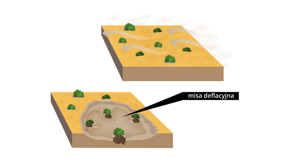 Ilustracja zawiera dwa obrazki z fragmentem terenu gdzieniegdzie porośniętym roślinnością. Na pierwszym obrazku nad terenem w postaci falujących strzałek skierowanych w lewo zaznaczono wiatr. Na drugim obrazku na powierzchni terenu pojawiło się zagłębienie - to misa deflacyjna.   