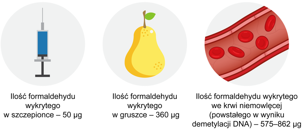 Na ilustracji w kołach znajdują się: strzykawka z podpisem: ilość formaldehydu wykrytego w szczepionce 50 mikrogramów; gruszka z podpisem: ilość formaldehydu wykrytego w gruszce wynosi 360 mikrogramów; naczynie krwionośne z erytrocytami z podpisem: ilość formaldehydu wykrytego we krwi niemowlęcej (powstałego w wyniku demetylacji DNA) - od 575 do 862 mikrogramów.      