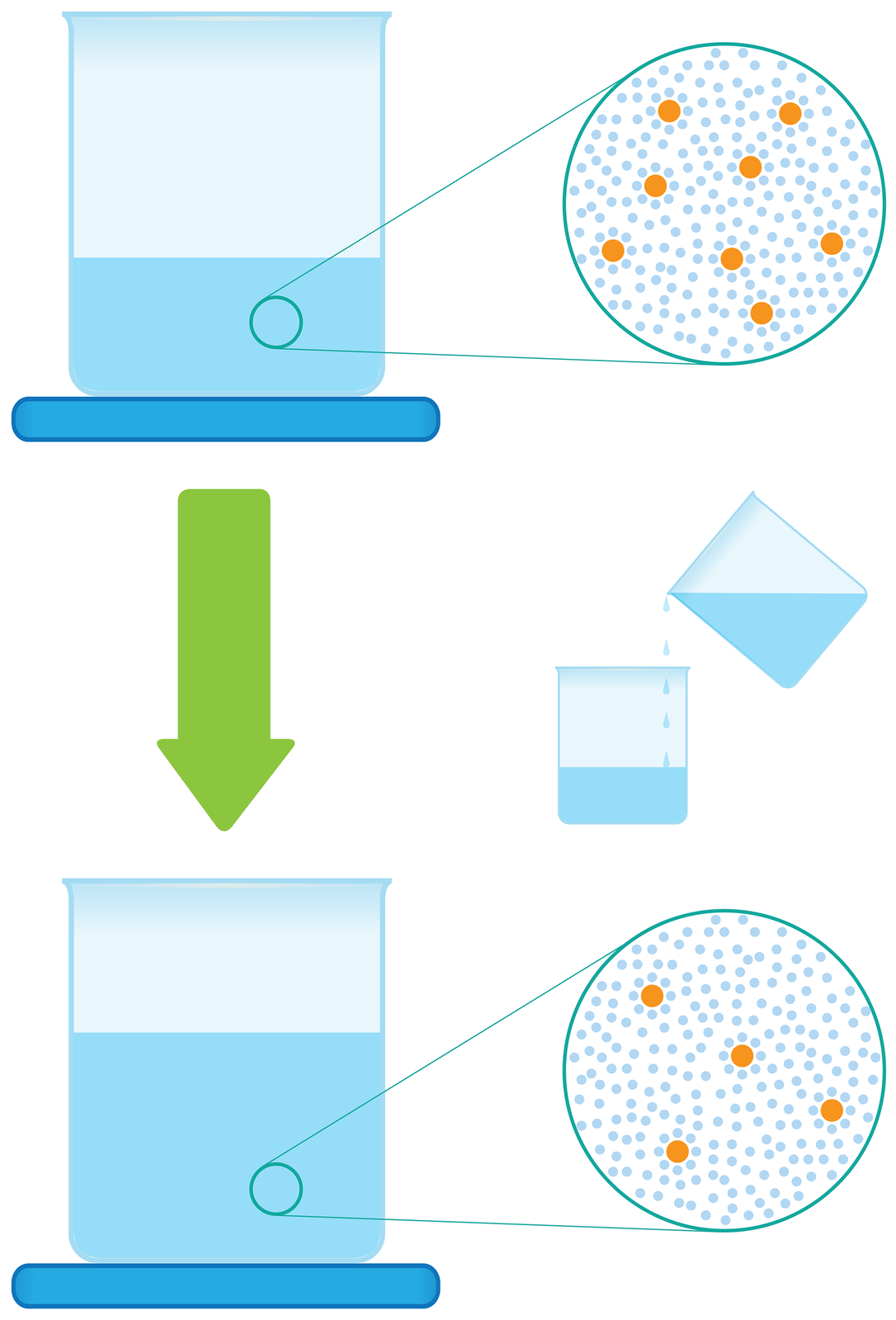 Ilustracja przedstawia model procesu rozcieńczania roztworu. U góry znajduje się zlewka z wodą oraz zbliżenie lupy na cząsteczki wody. W środkowej części znajduję się strzałka prowadząca w dół oraz rysunek przedstawiająca dolewanie wody z jednej zlewki do drugiej. Dolna cześć ilustracji przedstawia zlewkę z większa ilością wody oraz lupę przybliżającą widok cząsteczek wody. Po rozcieńczeniu w wodzie jest mniej cząsteczek.