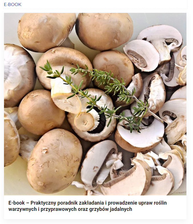 Widok okładki e‑booka. Widoczne jest zdjęcie brązowożółtych pieczarek, na których leży zielona gałązka rozmarynu.