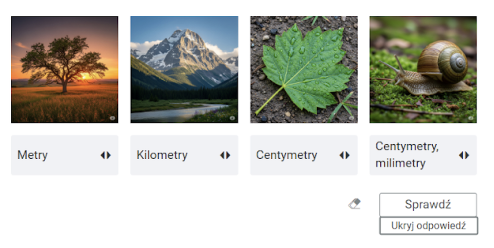 Obiekty: drzewo, góra, liść, ślimak. Pod każdym obiektem jest komponent do wyboru jednostki miary.