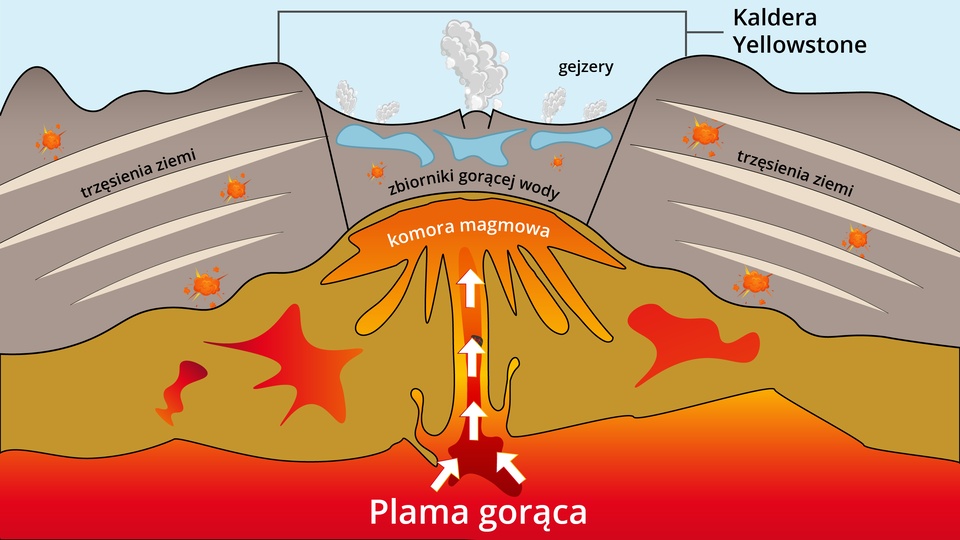 Grafika przedstawia budowę superwulkanu. Od dołu znajduje się plama gorąca, która przez pionowy komin przechodzi do komory magmowej. Wypycha ona do góry zbiornik gorącej wody. Nad nim znajdują się gejzery. Jest to kaldera Yellowstone. Po obu bokach występują trzęsienia ziemi.