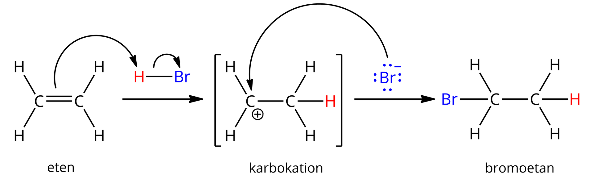 Ilustracja przedstawiająca mechanizm addycji bromowodoru do wiązania podwójnego w cząsteczce etenu.  Cząsteczka etenu zbudowana jest z dwóch atomów węgla związanych za pomocą wiązania podwójnego i podstawionych każdy dwoma atomami wodoru. Od wiązania podwójnego w cząsteczce etenu poprowadzona jest łukowata strzałka do atomu wodoru w cząsteczce bromowodoru HBr. Od wiązanie łączącego atom wodoru i bromu w cząsteczce bromowodoru poprowadzona jest łukowata strzałka do atomu bromu. Strzałka w prawo, za strzałką znajduje się produkt przejściowy zapisany w nawiasie kwadratowym, to jest karbokation, który to zbudowany jest z grupy CH2 obdarzonej ładunkiem dodatnim oznaczonym jako plus i związanej z grupą CH3. Obok znajduje się anion bromkowy Br-, od jednej z czterech zlokalizowanych na nim par elektronowych poprowadzona jest łukowata strzałka do centrum karbokationowego, to jest do atomu węgla obdarzonego ładunkiem dodatnim w grupie CH2. Strzałka w prawo, za strzałką znajduje się produkt reakcji, który to zbudowany jest z grupy CH2 połączone za pomocą wiązań pojedynczych z atomem bromu Br oraz grupą metylową CH2.