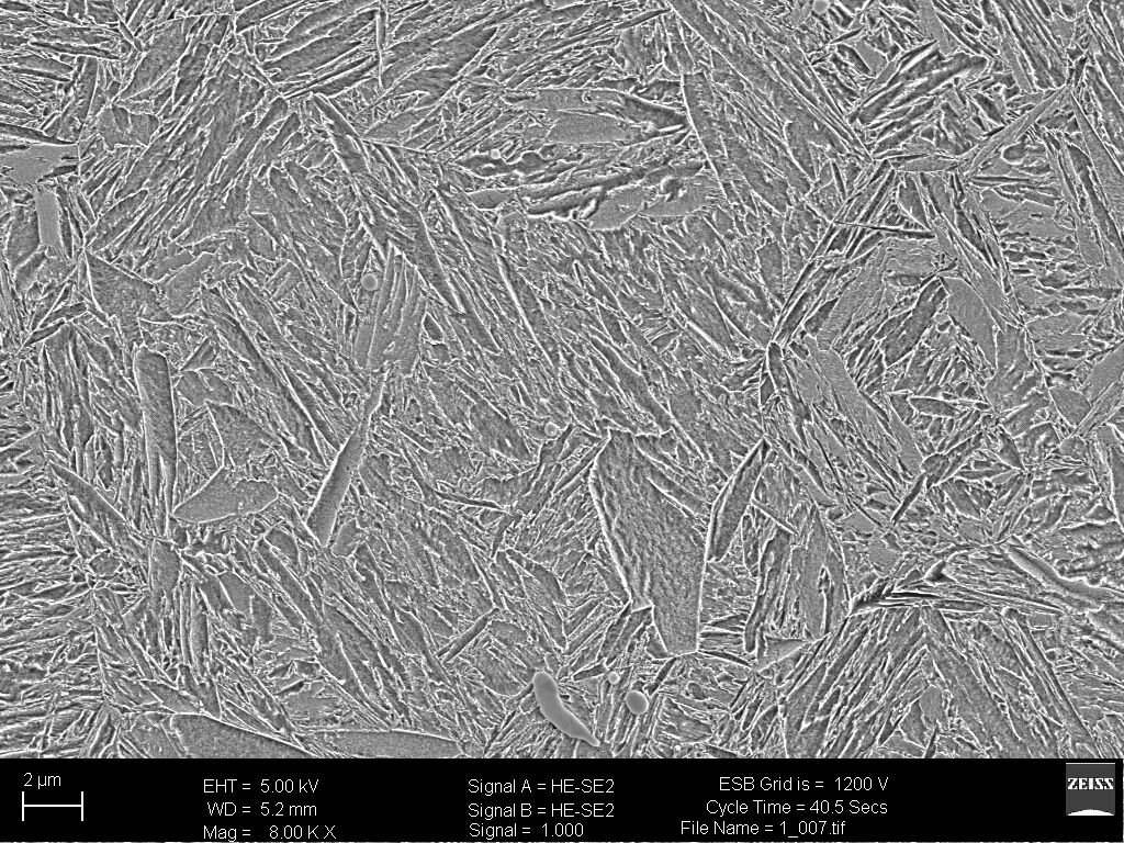 Mikrostruktura martenzytyczna
Zdjęcie wykonane na mikroskopie SEM