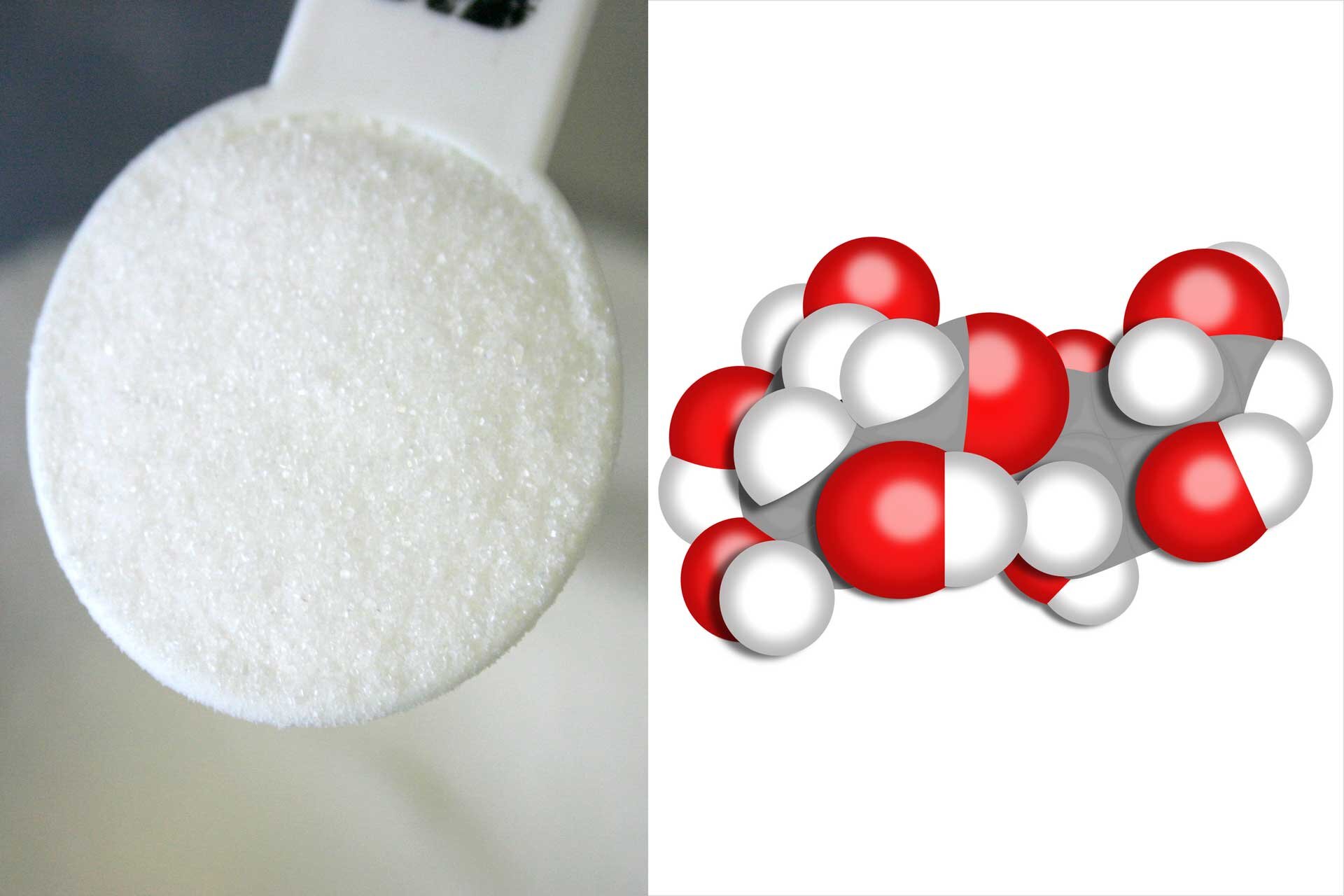 Na ilustracji widoczna jest łyżeczka cukru oraz modele cząsteczek cukru. Czerwono-białe kulki złączone ze sobą, tworząc większą nieregularną, chaotyczną strukturę. Kulki czerwone są nieco większe od białych. 