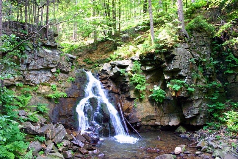 Zdjęcie przedstawia niewysoką kaskadę. Kaskada spływa po skałach w terenie leśnym. Teren jest pagórkowaty. 
