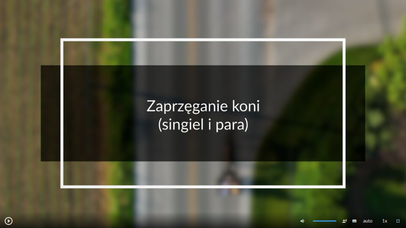 Grafika przedstawia ekran początkowy filmu instruktażowego (tutorialu). Znajduje się na nim plansza tytułowa. Jest to grafika przedstawiająca drogę publiczną, na której tle umieszczono tytuł filmu: Zaprzęganie koni (singiel i para). W lewym dolnym rogu ekranu filmu umieszczony jest przycisk służący do odtwarzania i zatrzymywania filmu. W prawym dolnym rogu ekranu umieszczono szereg różnych przycisków. Odpowiedzialne są one między innymi za uruchamianie napisów, zmianę głośności i zmianę szybkości odtwarzania.