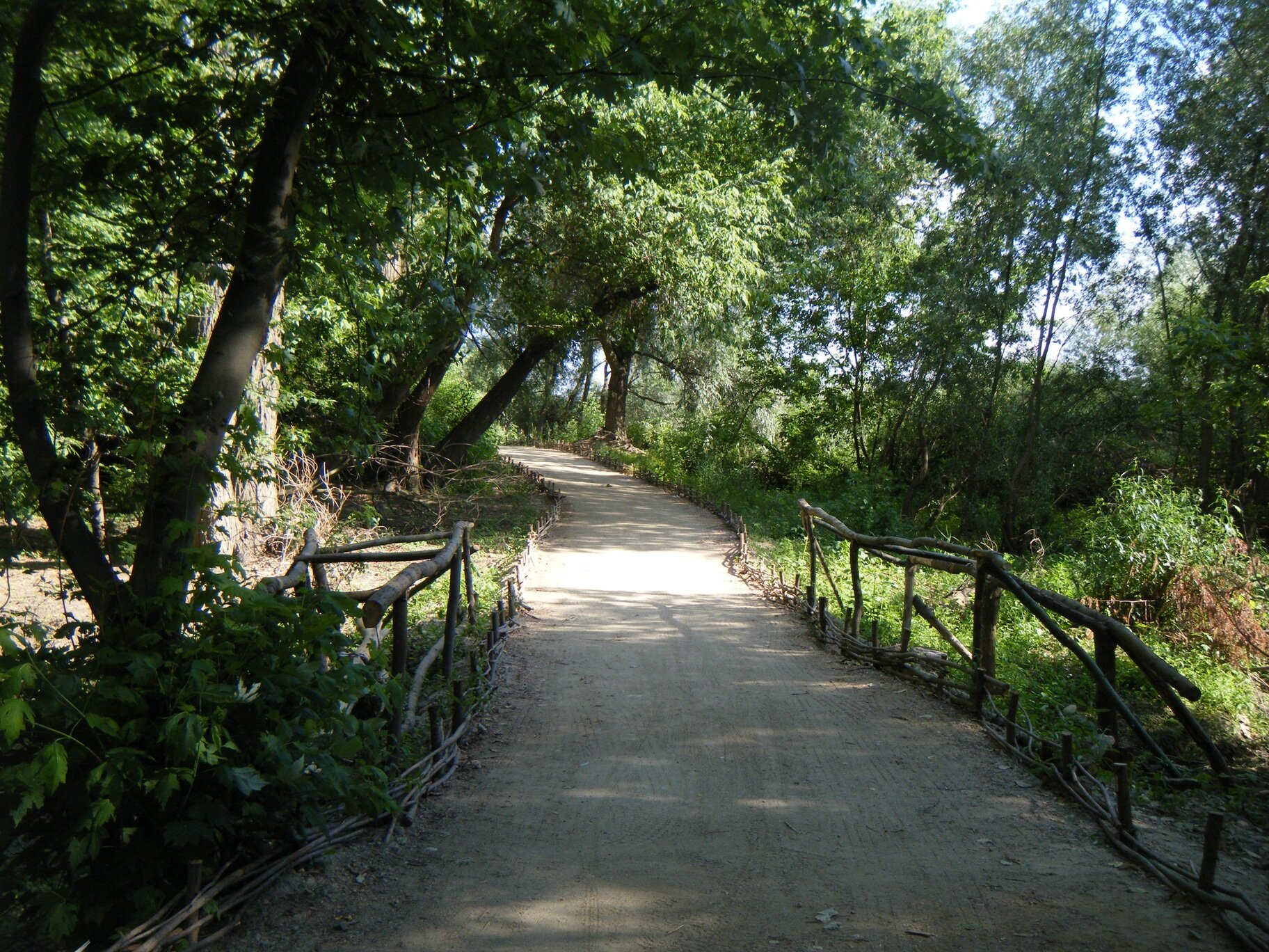 Fotografia przedstawia ścieżkę, ogrodzoną drewnianym płotkiem. Po jej lewej i prawej stronie drzewa liściaste