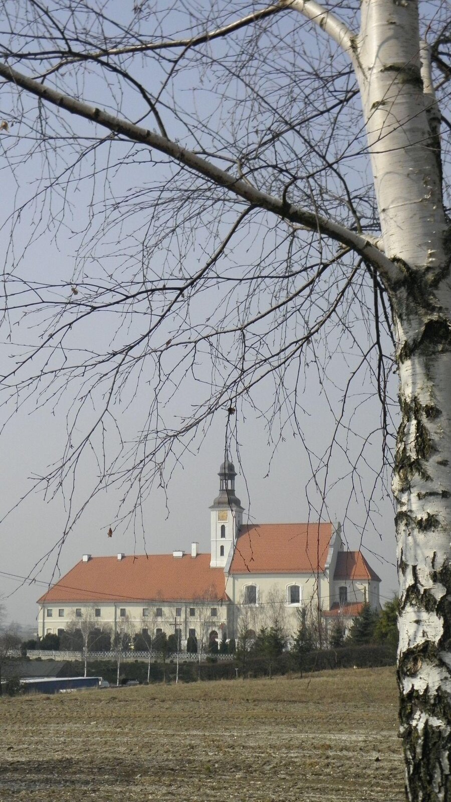 Zdjęcie przedstawia kościół widziany z dość dużego oddalenia. Budynek ma białą elewację i ceglastoczerwony dach. W jego centralnej części widoczna jest wieża. Budynek ma dwie kondygnacje z większymi i mniejszymi, rozmieszczonymi symetrycznie oknami. Ukazany jest od boku. Na pierwszym planie widoczny jest fragment pnia oraz gałęzie pozbawionej liści brzozy. Dalej częściowo pokryte śniegiem pole i zmarznięta roślinność. Niebo jest szarobłękitne.
