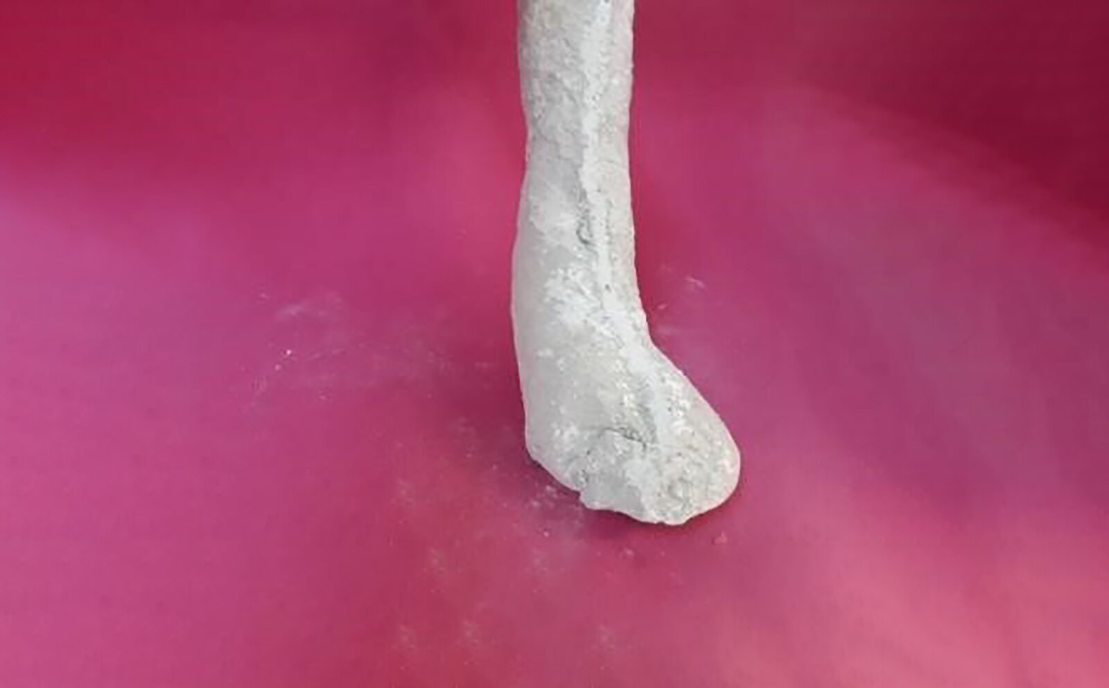Zdjęcie pod tytułem: Odlew gipsowy. Zdjęcie przedstawia odlew gipsowy mający kształt kończyny.