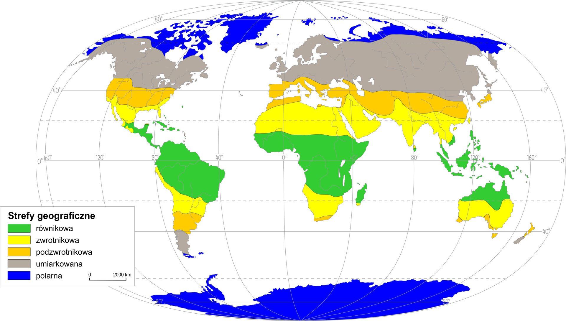 Mapa świata przedstawia strefy geograficzne. Równikowa znajduje się po obu stronach równika, w północnej Ameryce Południowej, Ameryce Środkowej, środkowej Afryce, Indonezji, Malezji, północnej Australii. Strefa zwrotnikowa znajduje się w okolicach zwrotników, w południowej Ameryce Północnej, północnej Afryce, Półwyspie Arabskim, Azji południowej, południowej i środkowej Australii, południowej Afryce, środkowej Ameryce Południowej. Strefa podzwrotnikowa znajduje się w środkowej Ameryce Północnej, południowej Europie, w Azji poniżej równoleżnika 40 stopni, środkowej Ameryce Południowej, południowym wybrzeży Afryki, południowym wybrzeżu Australii, północnej Nowej Zelandii. Strefa umiarkowana znajduje się w północnej Ameryce Północnej, w północnej i środkowej Europie i Azji, w południowej Nowej Zelandii, południowej Ameryce Południowej. Strefa okołobiegunowa znajduje się na północnych krańcach Ameryki Północnej, na Grenlandii, na północnym wybrzeżu Azji, na Antarktydzie oraz na południowym wybrzeżu Ameryki Południowej.