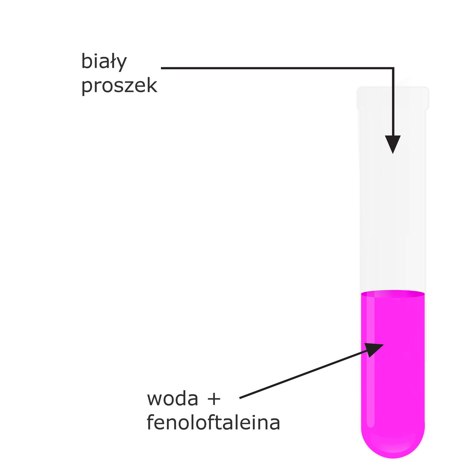 Na rysunku znajduje się probówka wypełniona do połowy cieczą o różowej barwie. To woda z fenoloftaleiną. Do próbówki dodaje się biały proszek. 