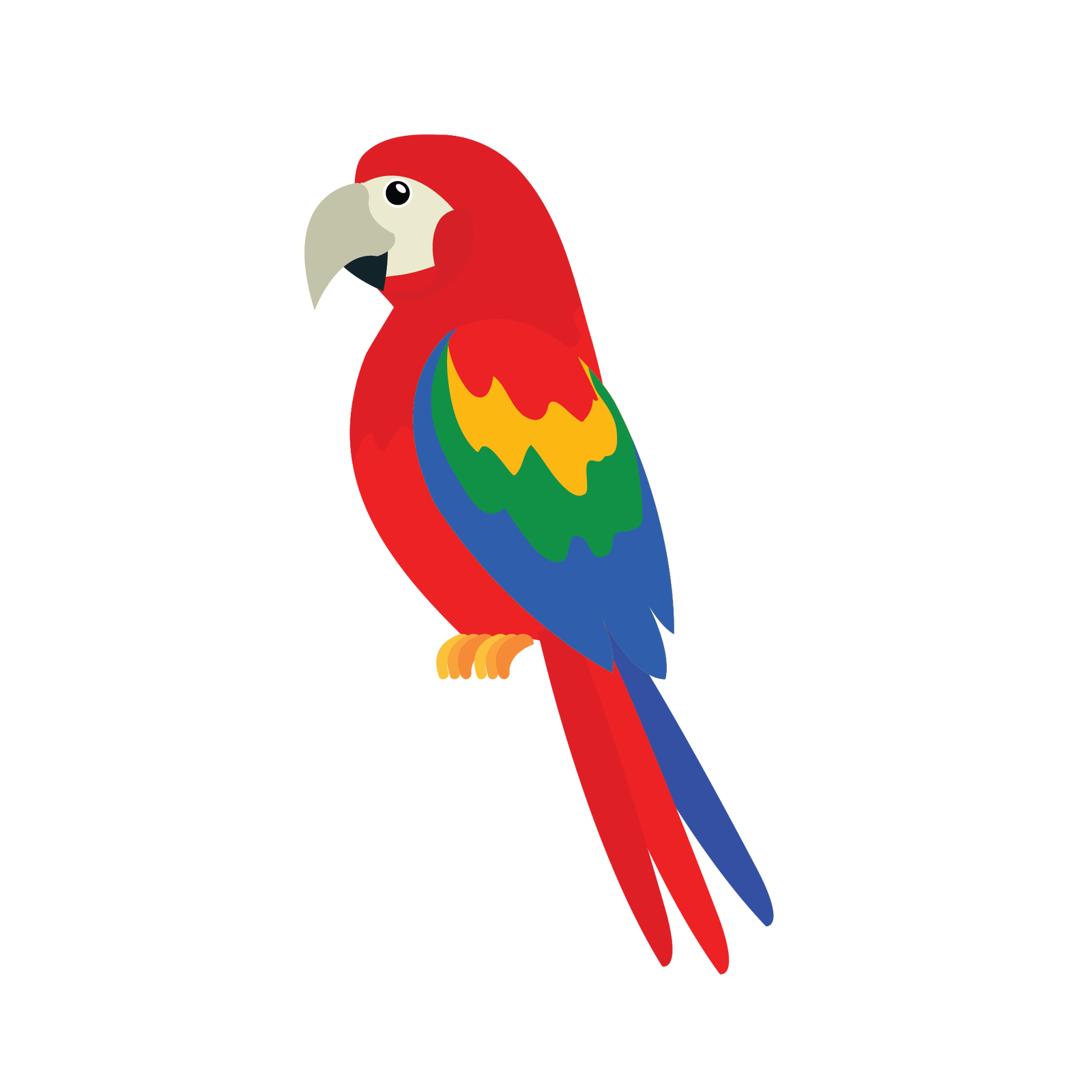 Ilustracja przedstawia papugę. Jest to ptak o wielokolorowym upierzeniu, posiadający duży zakrzywiony dziób, długi ogon i krótkie nogi zakończone pazurami.