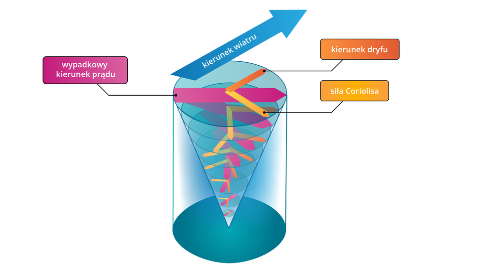 Schemat przedstawia powstawanie prądu dryftowego. Na schemacie ukazany jest pionowo ustawiony walec, w który wpisany jest odwrócony dnem do góry, mający podstawę w kształcie koła ostrosłup. Od wierzchołka ostrosłupa, który znajduje się na dnie walca odchodzą znajdujące się w jego środku coraz większe okręgi. W środku każdego okręgu znajduje się różowa strzałka umiejscowiona jak jego średnica, a od środka, pod kątem czterdziestu pięciu stopni odchodzą od niego kolejne dwie strzałki, jedna pomarańczowa, druga żółta. Każdy z okręgów ustawiony jest w stosunku do poprzedniego pod innym kątem, co sprawia wrażenie, jakby kręciły się odwrotnie do ruchu wskazówek zegara. Różowa strzałka podpisana jest jako wypadkowy kierunek prądu, żółta jako siła Coriolisa, a pomarańczowa jako kierunek dryfu. Od górnej podstawy walca odchodzi w górę pod kątem ostrym niebieska strzałka z napisem kierunek wiatru.  