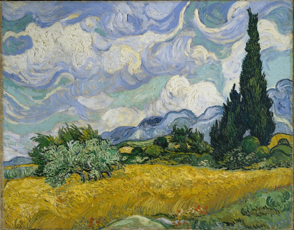 Dzieło van Gogha „Pole pszenicy z cyprysami” przedstawia rozległy krajobraz z drogą biegnącą wzdłuż pola pszenicy, grupami krzewów i wysokimi cyprysami. W tle widoczne są pasma górskie, a nad nimi rozciąga się niebo zajmujące znaczną część kompozycji. Artysta nie odtwarza jednak pejzażu w sposób realistyczny – poszczególne elementy przedstawia za pomocą wyraźnych, dynamicznych pociągnięć pędzla. Krzewy, źdźbła zboża i cyprysy są budowane z krótkich, energicznych ruchów pędzla, które podkreślają ich fakturę i sprawiają, że niemal cała powierzchnia obrazu wydaje się pulsować. Szczególnie dynamicznie opracowane zostało niebo, w którym pociągnięcia pędzla układają się w falujące, wirujące pasma. Podobny rytm pojawia się w polu i roślinności, dzięki czemu krajobraz sprawia wrażenie pełnego ruchu. Zauważalne są również wyraźne kontrasty kolorystyczne między intensywną żółcią pola, głęboką zielenią cyprysów i chłodnymi odcieniami błękitu nieba, które dodatkowo wzmacniają ekspresyjny charakter pejzażu.