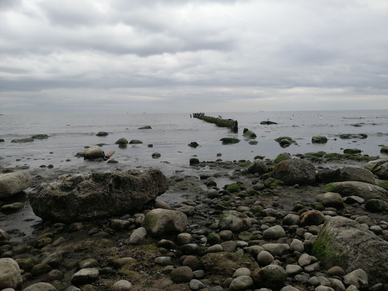 Zdjęcie ukazuje kamienisty brzeg morza, wśród kamieni są małe i średnie kamyki oraz wielkie głazy. Od brzegu w głąb morza wchodzi długi falochron. Tafla wody jest spokojna, zachmurzone niebo łączy się z morzem ma horyzoncie.