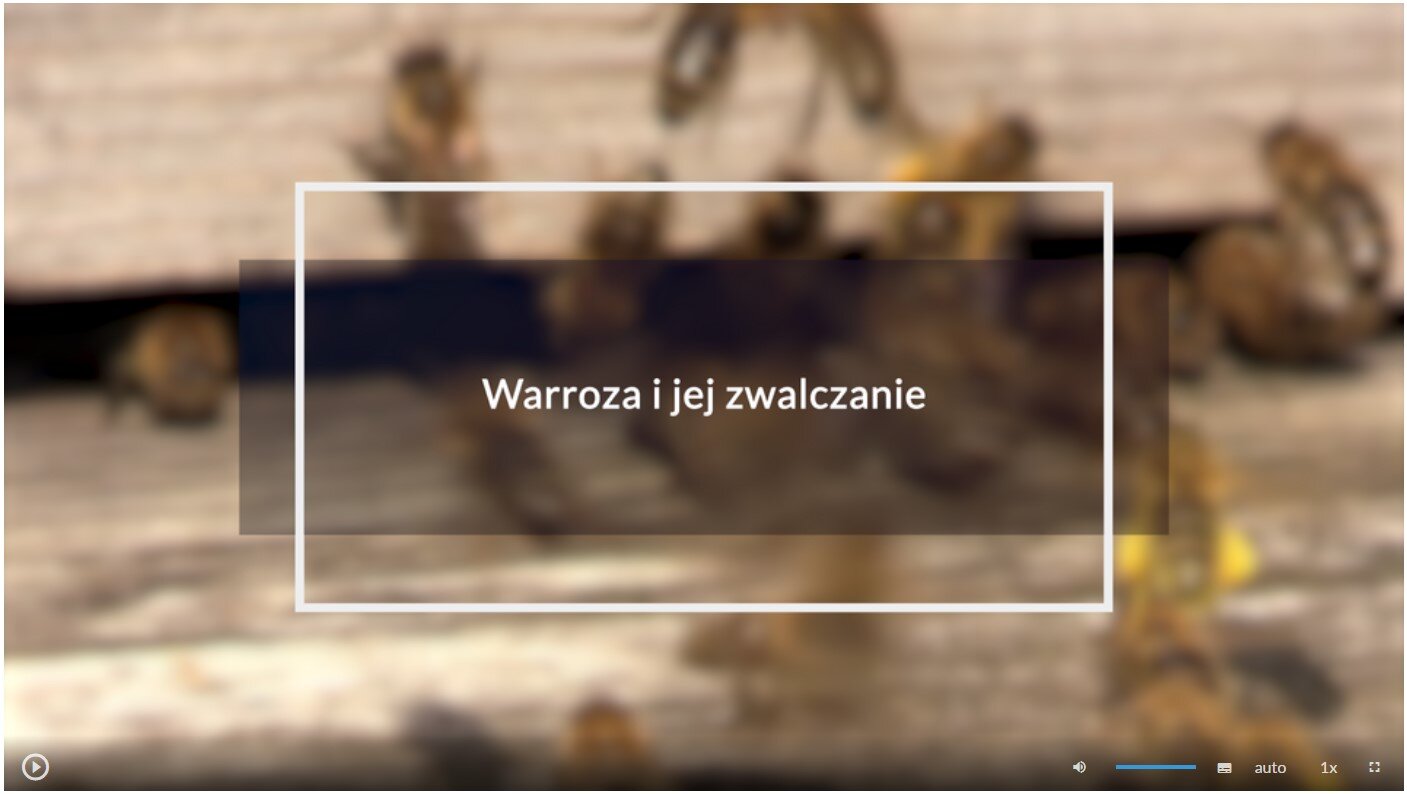 Grafika przedstawia ekran odtwarzania filmu. Tło ekranu jest czarne. Na dole znajduje się pasek z ikonami. Po lewej stronie na pasku jest przycisk “play”, który ma kształt koła z pisanym w niego trójkątem. Po prawej stronie na pasku jest ikona głośnika, pasek głośności, przycisk umożliwiający włączenie napisów, napis “auto”, szybkość wynosząca 1x oraz ikona trybu pełnoekranowego, która kształtem przypomina przerywany kwadrat. 