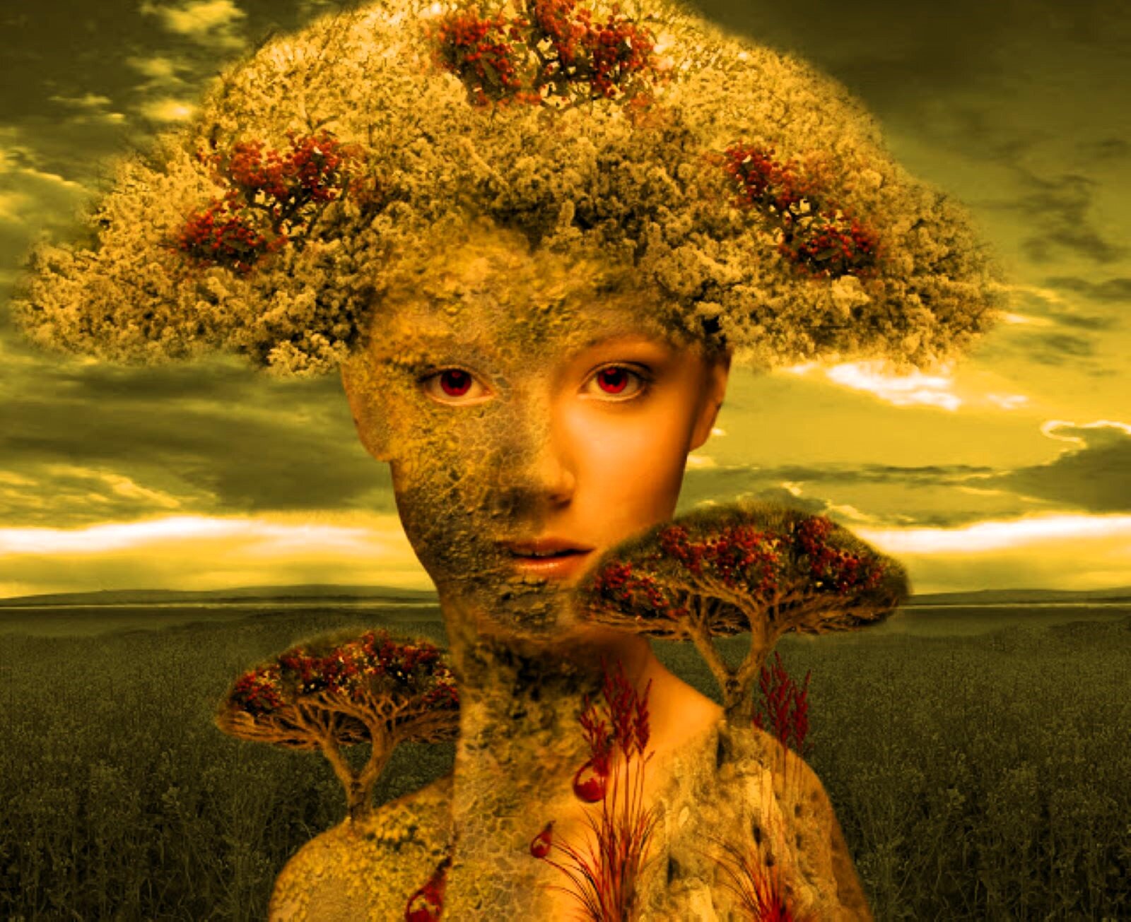 Zdjęcie przedstawia postać kobiety w fantazyjnym jak korona drzewa- nakryciu głowy. Z ramion kobiety wyrastają również korony małych drzew na tle porannej, rozległej łąki, w ciepłych kolorach, bardzo nastrojowy. To fotografia artystyczna z użyciem techniki fotomontażu.