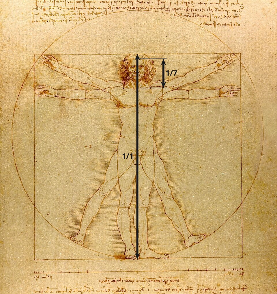 Umieszczony w czarnej ramce rysunek przedstawiający postać stojącego mężczyzny. Tło stanowi beżowo‑brązowa powierzchnia o nieregularnej strukturze, na której obecne są przecinające się figury - okrąg i prostopadłościan. Wewnątrz, przodem przedstawiono mężczyznę o szczupłym, muskularnym ciele, średniej długości kręconych włosach oraz podkrążonych oczach, na którego twarzy występują głębokie zmarszczki. Ręce mężczyzny ukazane są na rysunku w dwóch pozycjach – wyciągnięte prostopadle do ciała, na równi z barkami, oraz uniesione nieco wyżej, skierowane do góry w taki sposób, że końcówki dłoni przewyższają głowę mężczyzny. Podobnie, w dwóch pozycjach ukazano jego nogi – blisko siebie oraz w rozkroku, ze stopami ułożonymi na łuku okręgu. Pod rysunkiem umieszczono na karcie poziomą linię z zaznaczonymi w nieregularnych odstępach krótkimi, pionowymi kreskami. U góry oraz na dole karty obecne są linijki drobnego tekstu. Przez środek rysunku biegnie czarna strzałka dzieląca postać na pół. Obok niej, na wysokości głowy znajduje się druga strzałka która zaznacza obszar od głowy do ramion. Przy obu strzałkach widnieją wartości: 1/1 przy długiej oraz 1/7 przy krótkiej - co oznacza, że wskazany odcinek stanowi 1/7 części całości rysunku człowieka.