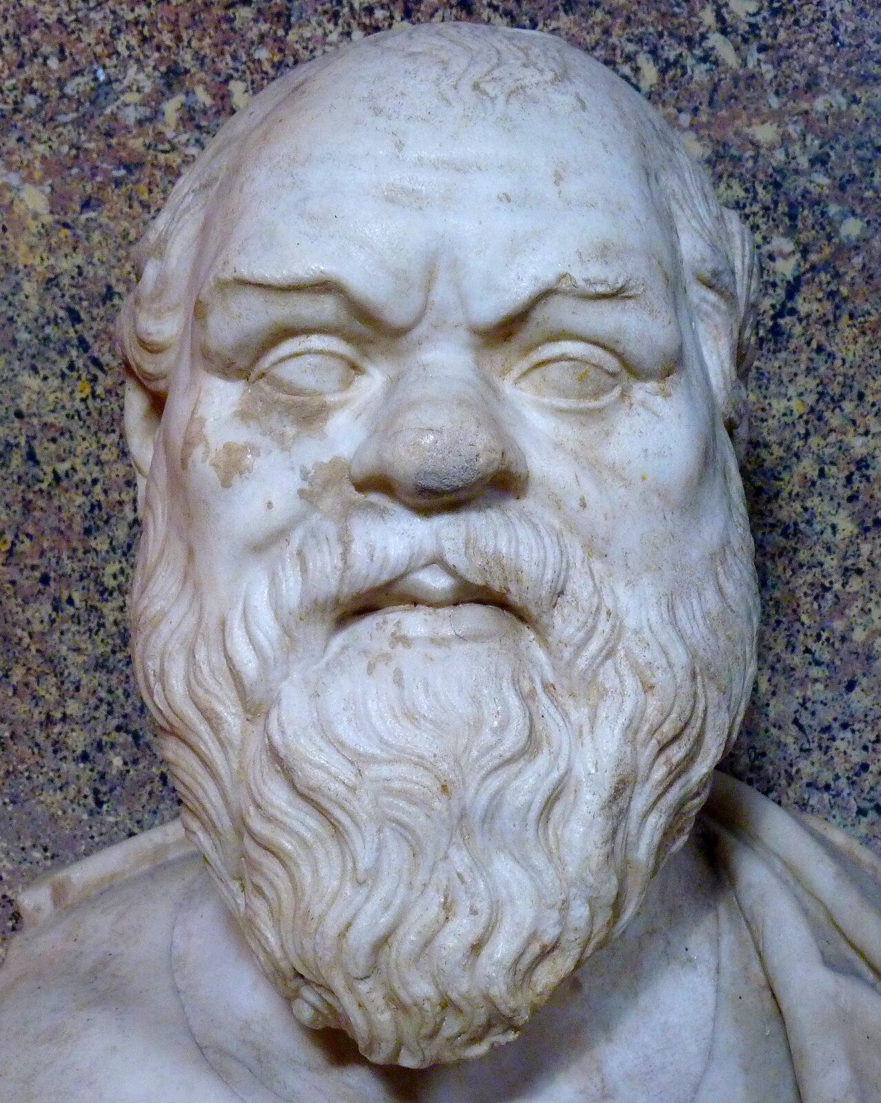 Zdjęcie przedstawia popiersie mężczyzny. Jest ono wykonane z białego marmuru. Mężczyzna jest dojrzały. Twarz mężczyzny jest owalna. Mężczyzna ma niewielki, zadarty nos. Włosy mężczyzny są krótkie, przylegają do głowy, są lekko falujące. Mężczyzna ma gęstą brodę i wąsy.