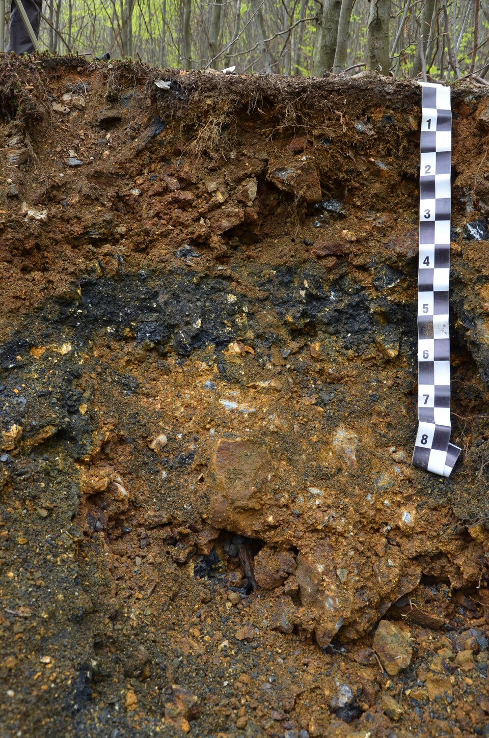 Zdjęcie przedstawia profil glebowy. Trudno określić tu wyraźnie warstwy. W całym profilu znajduje się w ziemi dużo kawałków gruzu, kamieni. Ziemia w górnej warstwie jest w przeważającej części brązowa, cynamonowa. Pod nią rozciąga się i schodzi po lewej stronie niemal pionowo w dół - warstwa czarna, mocno ziarnista. Pod jej poziomą częścią i obok pionowej wciśnięta jest warstwa rdzawa z większymi kamieniami.