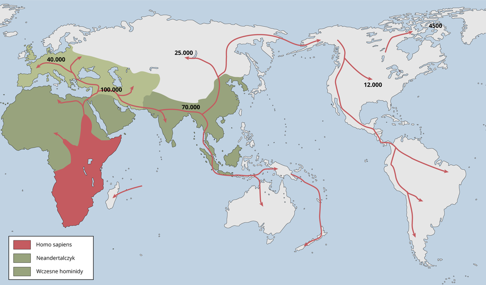 Mapa pokazuje w jaki sposób rozprzestrzeniał się gatunek ludzki na świecie. Wczesne hominidy rozwinęły się na terenie dzisiejszej Europy środkowej i zachodniej oraz południowej a także części Azji. Neandertalczyk żył w północnej i środkowej Afryce oraz w południowo‑wschodniej Azji i Oceanii. Homo sapiens pojawił się we wschodniej i południowo‑wschodniej Afryce i stamtąd rozpoczął wędrówkę na północ, docierając do Afryki Północnej, potem do Europy Południowej i Środkowej, a potem w stronę Azji i Australii i Nowej Zelandii oraz na kontynent Ameryki Północnej i Południowej. Haomo sapiens rozprzestrzenił się na wszystkie kontynenty z wyjątkiem Antarktydy.