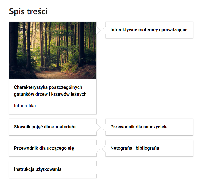 Grafika przedstawia siedem kafelków ze spisu treści, które znajdują się obok siebie. Mają prostokątny kształt. Wszystkie kafelki zawierają tytuł i nazwa multimedium. Pierwszy kafelek dodatkowo posiada grafikę z symbolem danego multimedium. Kafelek pierwszy jest zatytułowany: Charakterystyka poszczególnych gatunków drzew i krzewów leśnych. Jest to infografika. Zdjęcie przedstawia liściaste drzewa rosnące w lesie. Drugi kafelek jest zatytułowany: Interaktywne materiały sprawdzające. Trzeci kafelek jest zatytułowany: Słownik pojęć dla e‑materiału. Czwarty kafelek jest zatytułowany: Przewodnik dla nauczyciela. Piąty kafelek jest zatytułowany: Przewodnik dla uczącego się. Szósty kafelek jest zatytułowany: Netografia i bibliografia. Siódmy kafelek jest zatytułowany: Instrukcja użytkowania.