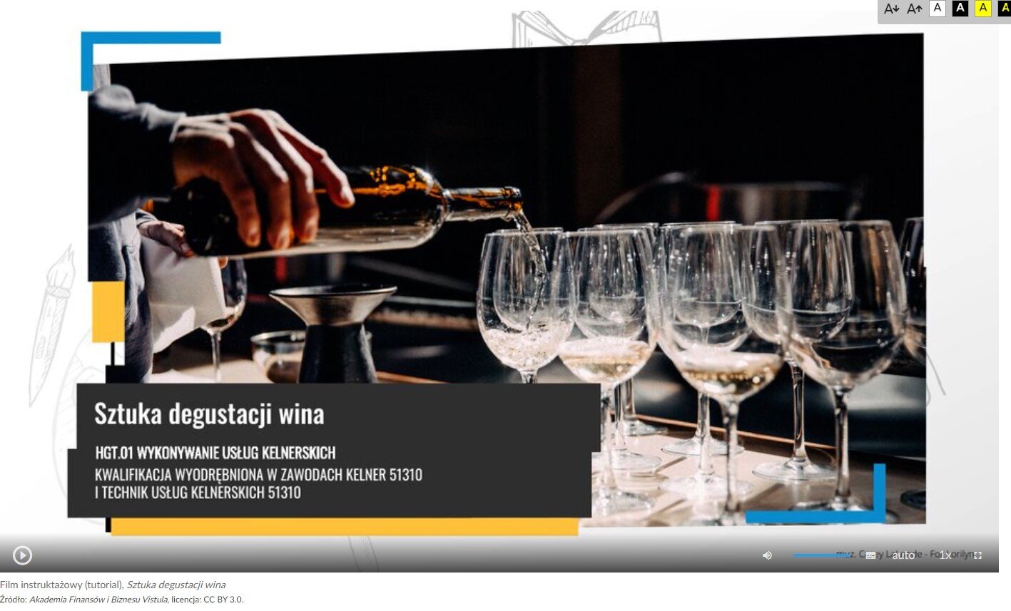 Grafika przedstawia widok ujęcia początkowego filmu instruktażowego zatytułowanego Sztuka degustacji wina. Na grafice widać pasek sterowania filmem, który zawiera przycisk startu film, suwak głośności filmu, przycisk włączenia napisów, przycisk wyboru jakości odtwarzanego filmu, przycisk wyboru prędkości odtwarzania filmu oraz przycisk włączenia pełnego ekranu.