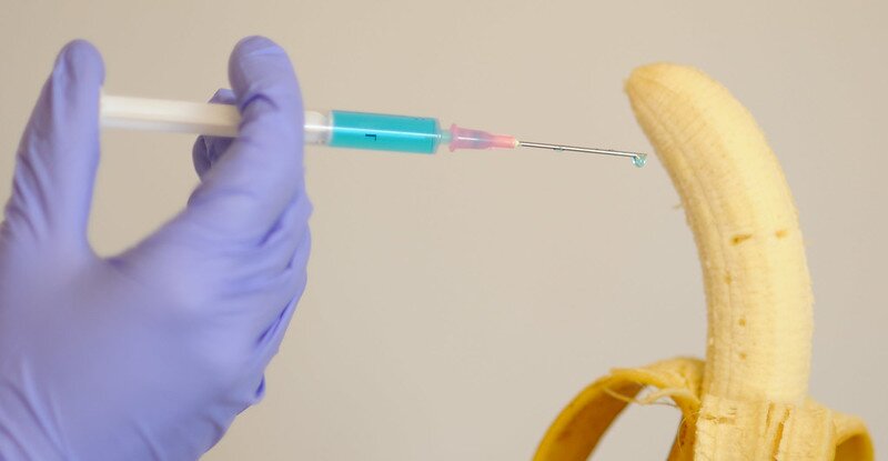 Na zdjęciu znajduje się podłużny, żółty, obrany w połowie ze skórki banan. Znajduje się w pozycji pionowej, zbliża się do niego ludzka ręka obleczona w fioletową, gumową rękawiczkę. Ręka trzyma strzykawkę z igłą, w której znajduje się niebieski płyn. 