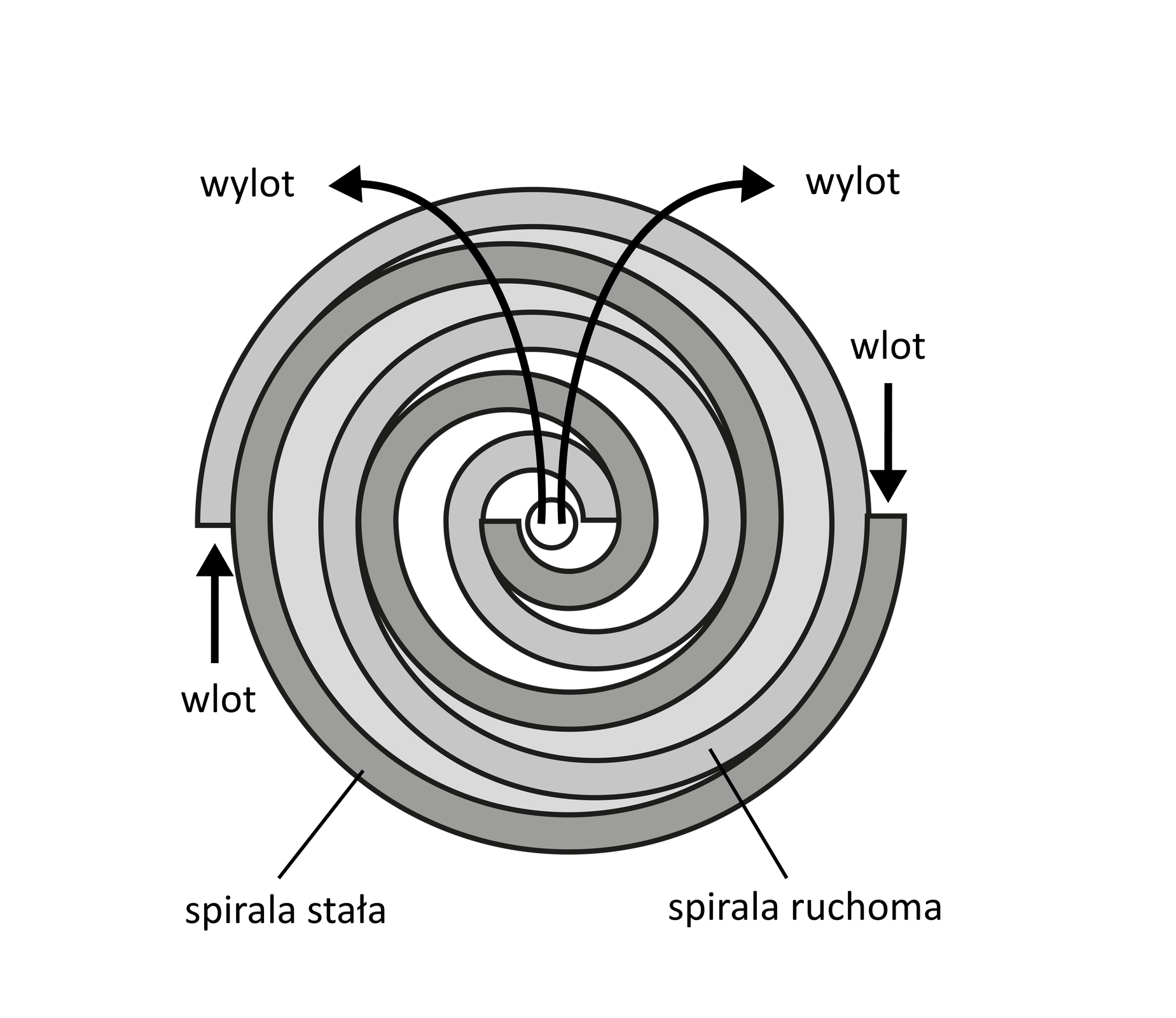 Rysunek przedstawia sprężarkę typu scroll. Posiada ona charakterystyczną strukturę, która składa się z dwóch spiralnych elementów: spirali stałej oraz spirali ruchomej. Na każdym końcu obu spirali widoczne są strzałki, symbolizujące wlot czynnika chłodniczego. W środkowej części spirali widoczne są dwie strzałki skierowane do góry. Strzałki pokazują kierunek działania wylotów.