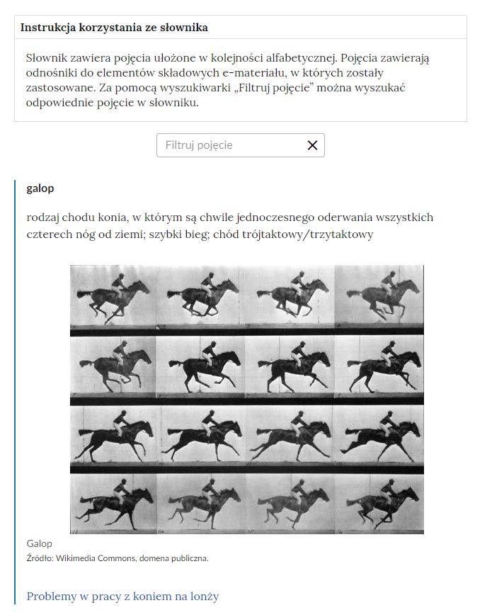 Grafika przedstawia widok górnej części słownika z polem filtrowania haseł słownika. W górnej części znajduje się duży napis: Słownik pojęć dla e‑materiału. Poniżej jest instrukcja korzystania ze słownika o treści: Słownik zawiera pojęcia ułożone w kolejności alfabetycznej. Pojęcia zawierają odnośniki do elementów składowych e‑materiału, w których zostały zastosowane. Za pomocą wyszukiwarki „Filtruj pojęcie” można wyszukać odpowiednie pojęcie w słowniku. Poniżej znajduje się kafelek służący do wyszukiwania, a pod nim definicja galopu.