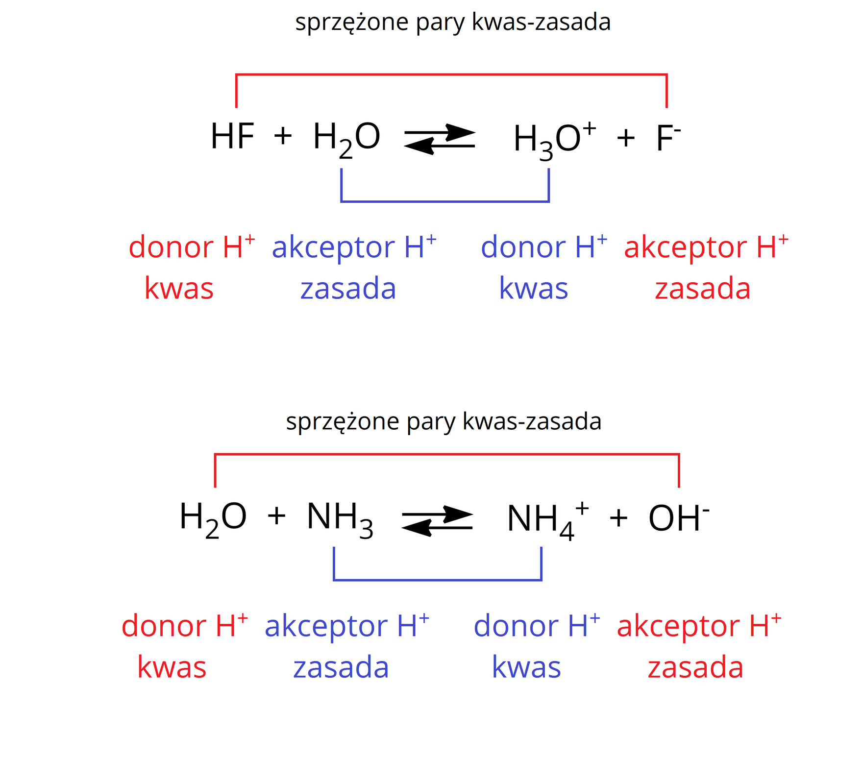 Ilustracja obrazująca reakcję pomiędzy donorem H+ a akceptorem H+. Równanie pierwsze: cząsteczka HF dodać cząsteczka H2O, strzałka w prawo, strzałka w lewo, za strzałkami jon hydroniowy H3O+ dodać F-. HF oraz F- stanowią sprzężoną parę kwas zasada, podobnie H3O+ i H2O. HF jest kwasem, czyli donorem H+, zaś H2O pełni rolę akceptora H+. Z kolei po stronie produktów  H3O+ stanowi donor H+, a F- jest akceptorem H+.  Równanie drugie: cząsteczka H2O dodać cząsteczka NH3, strzałka w prawo, strzałka w lewo, za strzałkami jon NH4+ dodać anion hydroksylowy OH-. H2O oraz OH- stanowią sprzężoną parę kwas zasada, podobnie NH4+  i NH3. H2O jest kwasem, czyli donorem H+, zaś NH3 pełni rolę akceptora H+. Z kolei po stronie produktów  NH4+ stanowi donor H+, a OH- jest akceptorem H+.