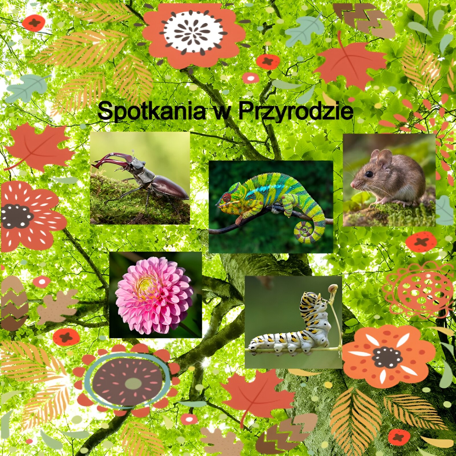 Ilustracja przedstawia przykładowy fotokolaż wykonany za pomocą aplikacji. Tło stanowią gałęzie liściastego drzewa na którym ułożone zostały zwierzęta: żuk, kameleon, mysz, gąsienica oraz różowy kwiat. Na ilustracje zostały także nałożone grafiki kwiatów i liści. 