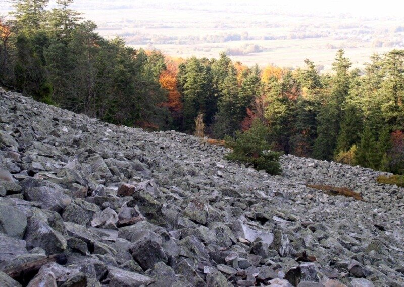 Ilustracja przedstawia gołoborze. Są to liczne, nieregularne bloki skalne pokrywające zbocze górskie. 