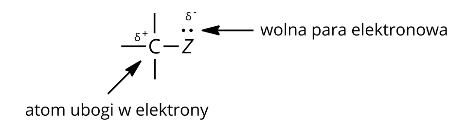 Ilustracja przedstawia schemat związku zawierającego wiązanie łączące atom węgla z atomem silnie elektroujemnym Z. Atom węgla tworzy cztery wiązania pojedyncze, a do jednego z nich przyłączony jest atom Z, posiadający wolną parę elektronową w postaci dwóch kropek. Atom węgla jest atomem ubogim w elektrony, co oznaczono zapisaniem symbolu dodatniego ładunku cząstkowego delta plus. Z kolei, przy atomie Z znajduje się symbol ujemnego ładunku cząstkowego delta minus. 